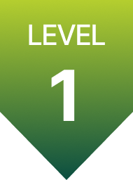 Level 1