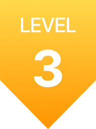 Level 3